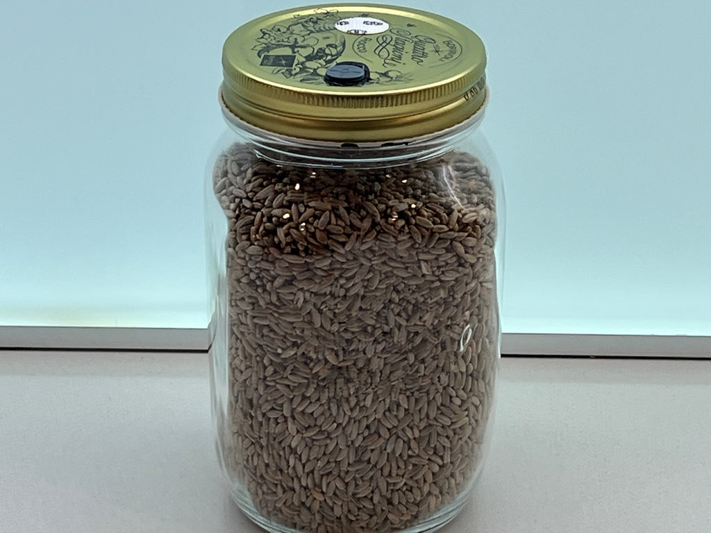 Starter Kit Micologia | LC + Vaso Spawn 750g + Grow Bag XL | Funghi Fai Da Te