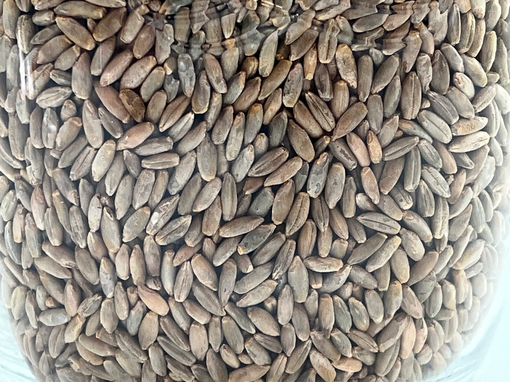 Starter Kit Micologia | LC + Vaso Spawn 750g + Grow Bag XL | Funghi Fai Da Te