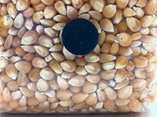 1kg Mais Bio Sterilizzato • Busta Spawn Funghi • Porta d'Iniezione Auto-Riparante • Substrato Micologia Mais Sterilizzato Autoclave