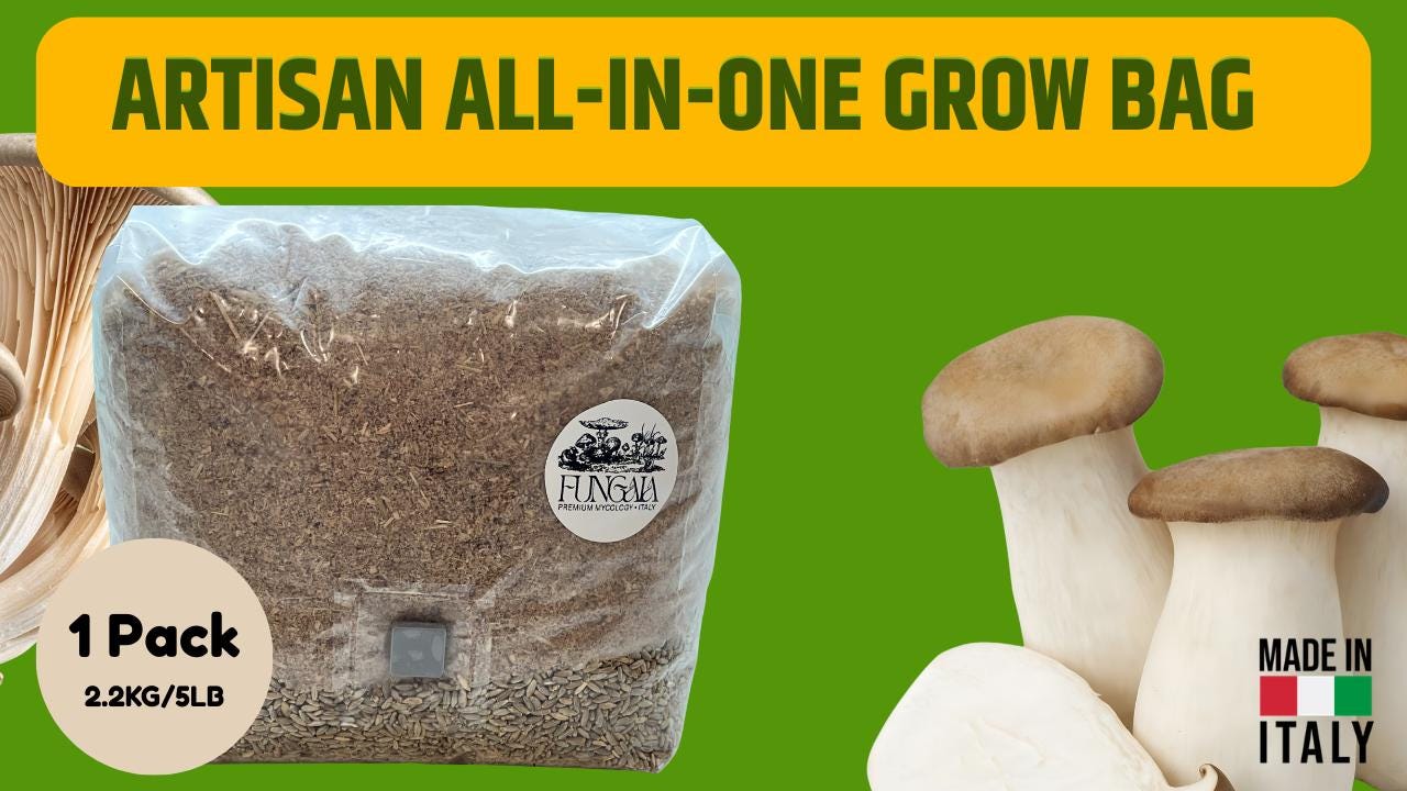 Artisan All In One Mushroom Grow Bag 2.2kg - Sterilized Substrate, Injection Port