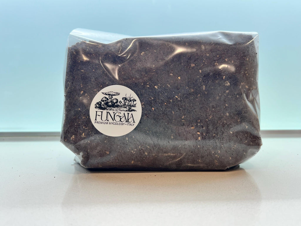 Mix CVG Substrato Funghi 2.2kg Pastorizzato Pronto all Uso Fibra di Cocco Vermiculite Gesso Bulk