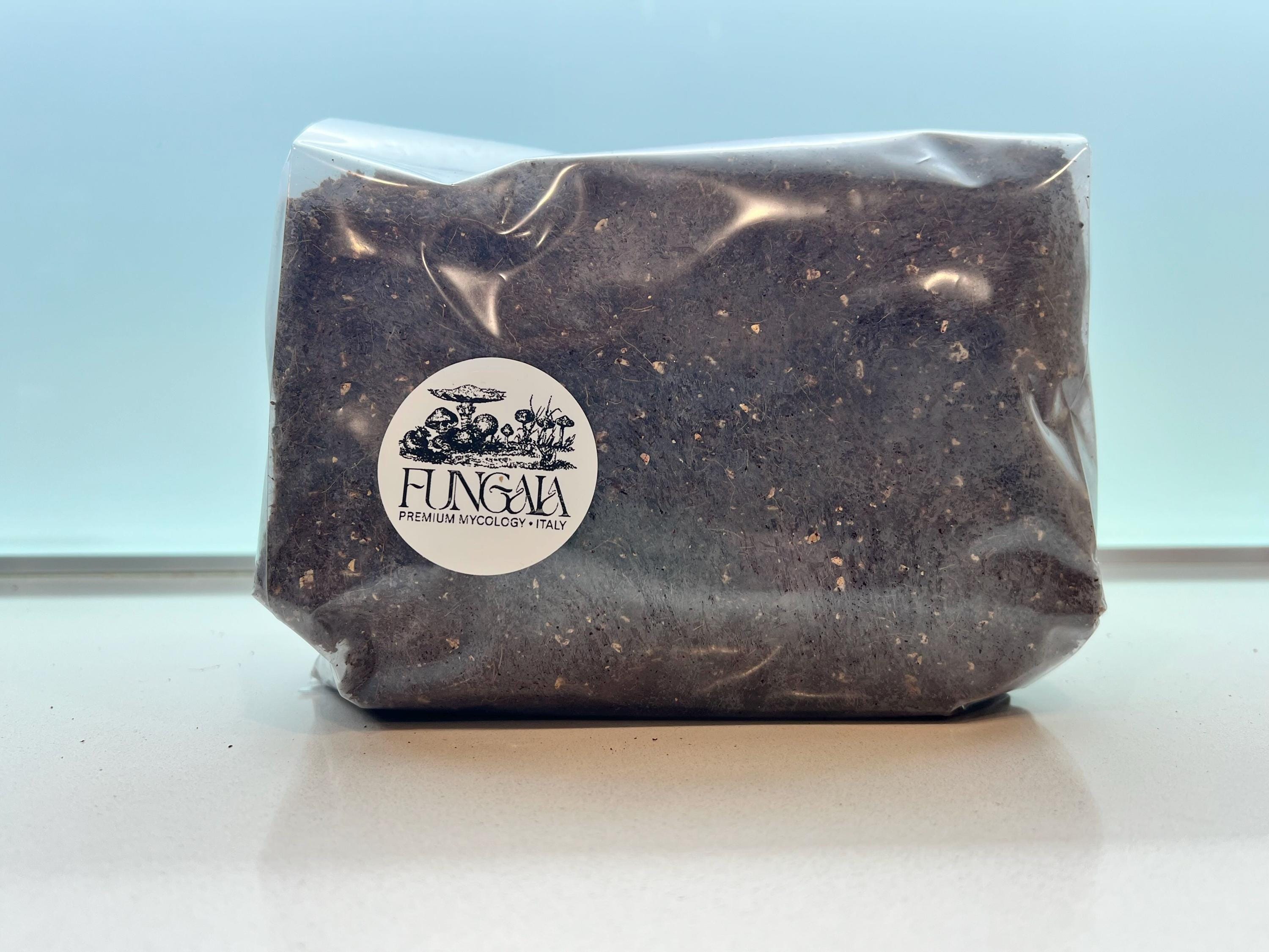 CVG Mushroom Substrate Mix 2.2kg – Sterilized Coco Coir, Vermiculite, Gypsum