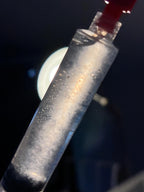 Pholiota adiposa Cultura Liquida 10ml - Fungo Chestnut Gourmet