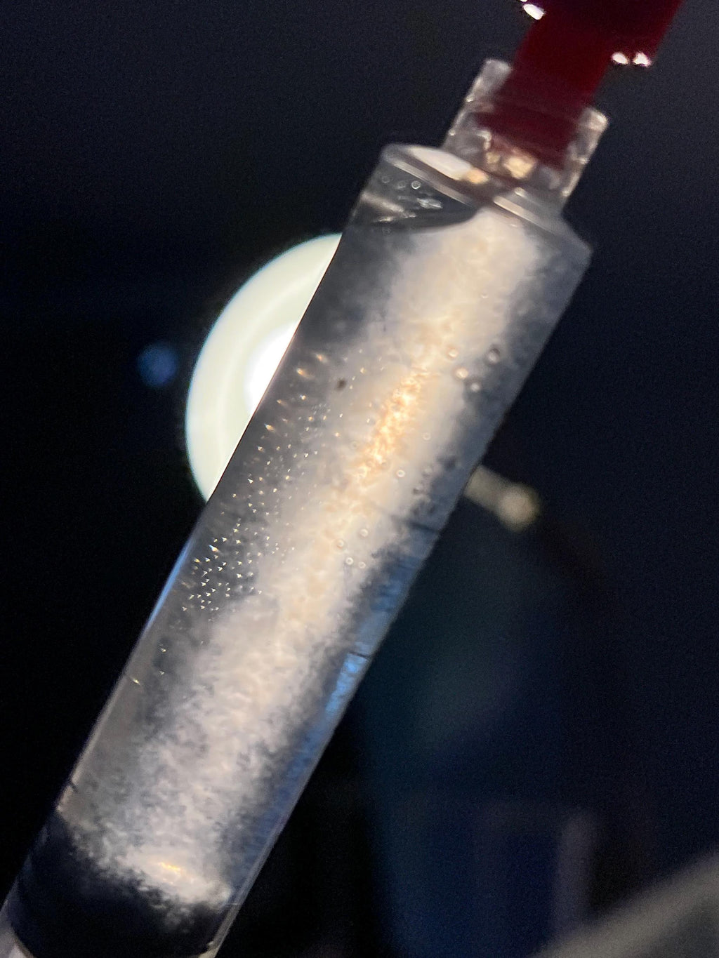 Cultura Liquida Fungo Chestnut  - Pholiota adiposa - Micelio Professionale Gourmet - Made in Italy