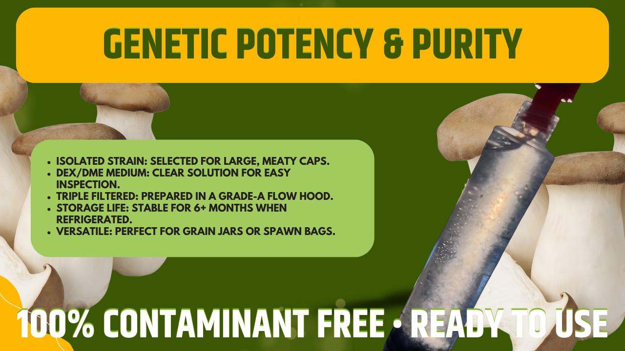 3 x 10ml Cardoncello King Trumpet Coltura Liquida Micelio Vivo Triple Pack