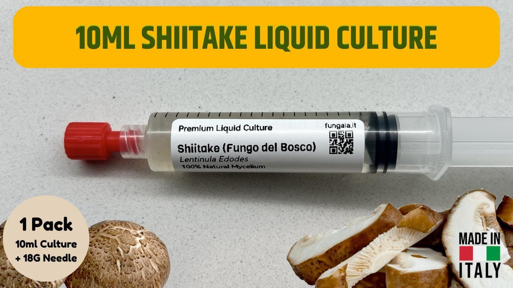 3 x 10ml Shiitake Liquid Culture Syringes Mushroom Genetics Triple Pack