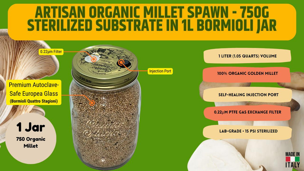 Spawn Enoki 1L Miglio Bio | Colonizzato | Qualità Laboratorio