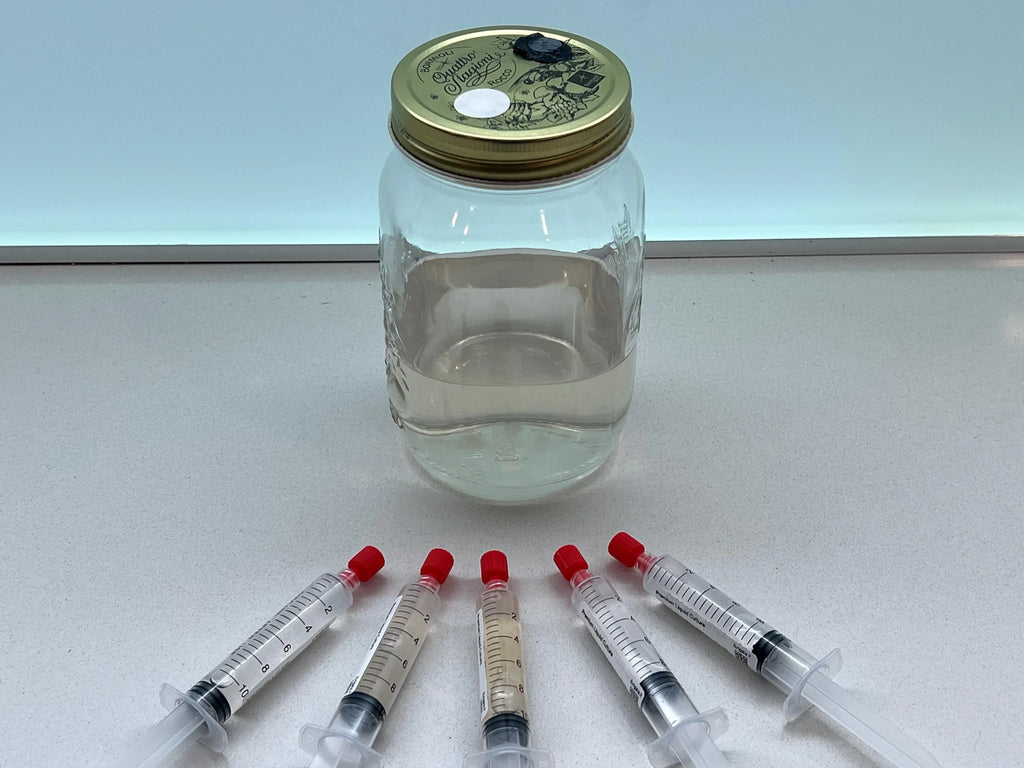 500 ml Liquid Culture Jar – Pre-Inoculated & 7-Day Tested – Pure Mycelium