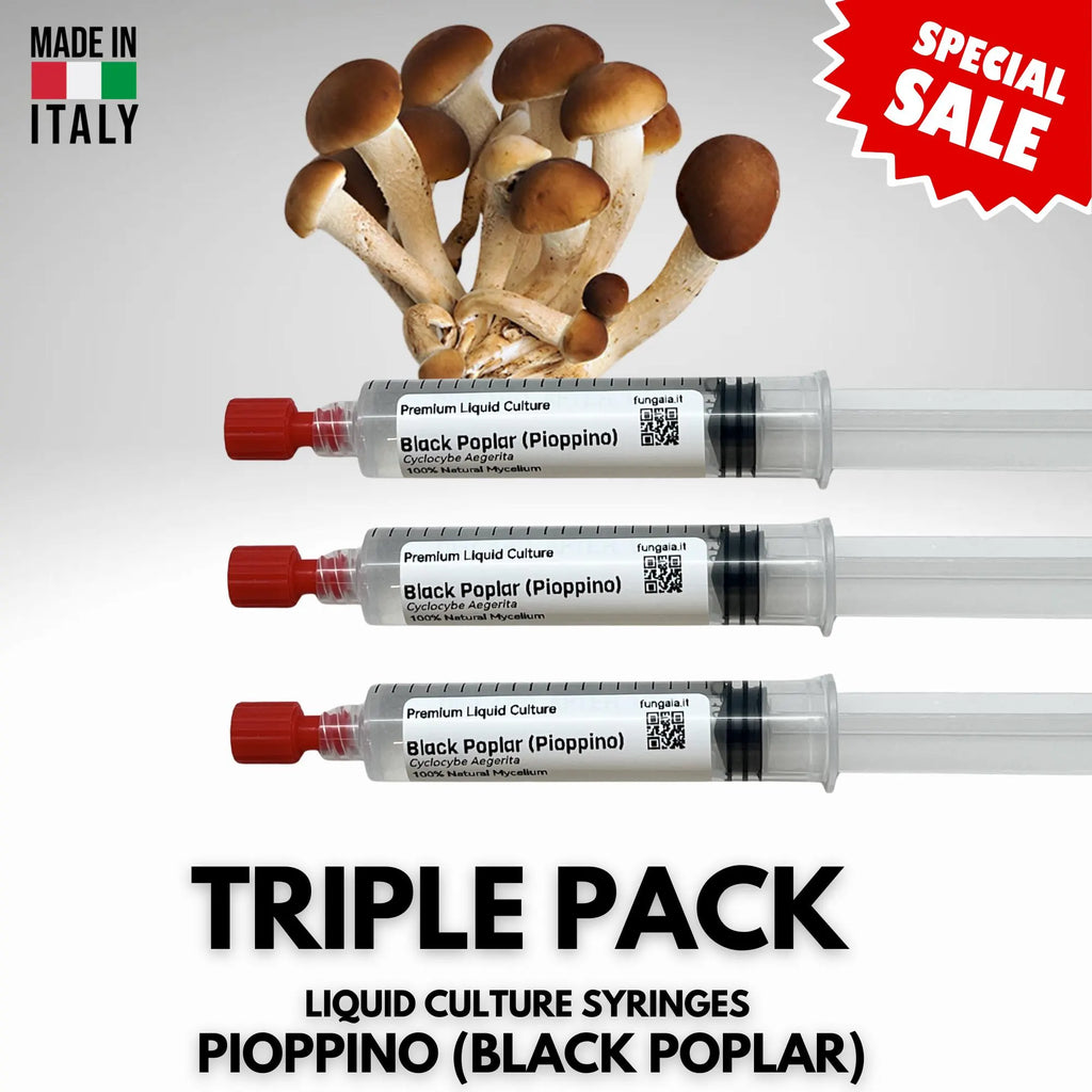 3 x 10ml Pioppino Coltura Liquida Micelio Vivo Triple Pack
