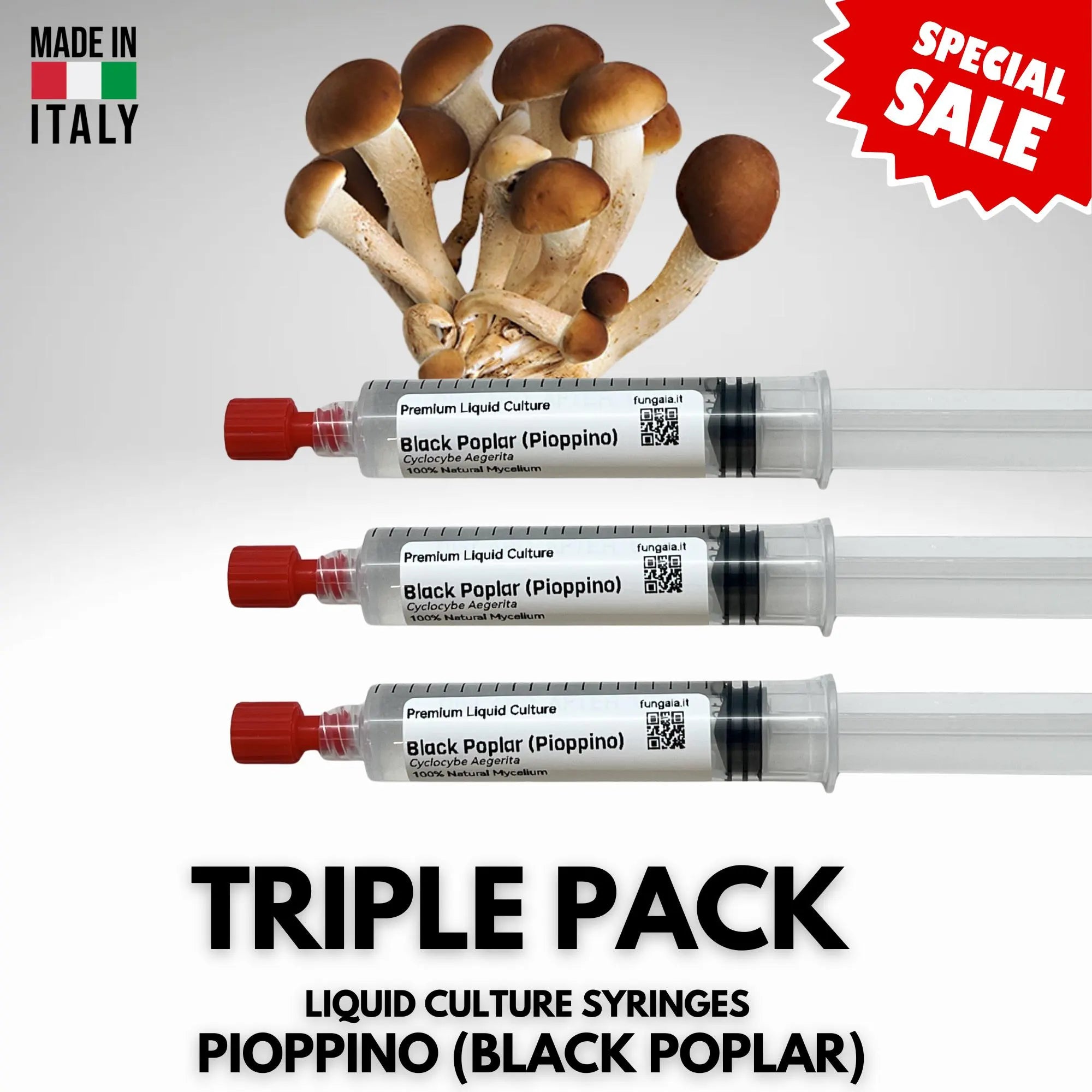 3 x 10ml Pioppino Coltura Liquida Micelio Vivo Triple Pack