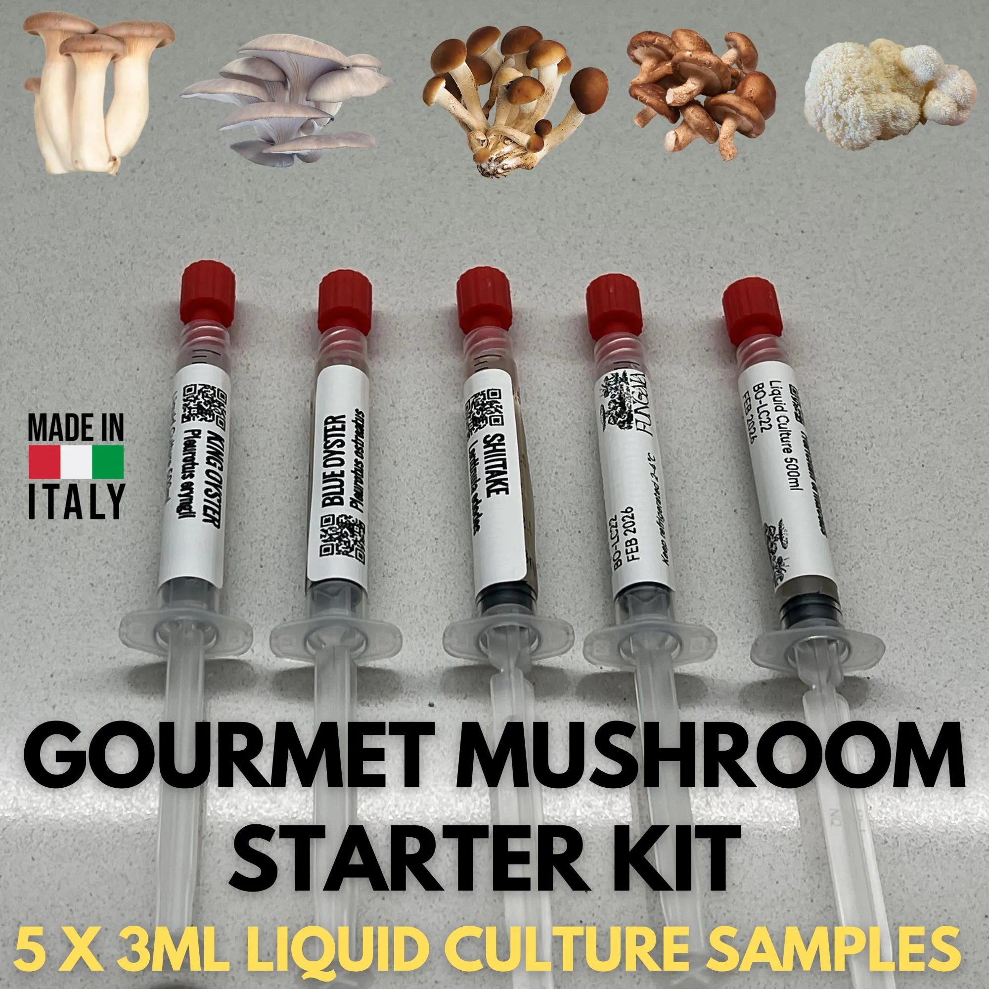 Gourmet Mushroom Liquid Culture Starter Kit - 5 Variety Bundle (3ml Luer Lock) - Premium Mycology Supplies