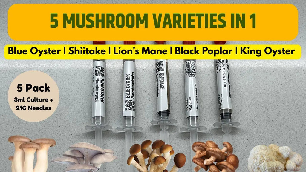 Kit Coltura Liquida Funghi Gourmet - 5 Varietà Selezionate (3ml Luer Lock) - Starter Pack Micologia Professionale
