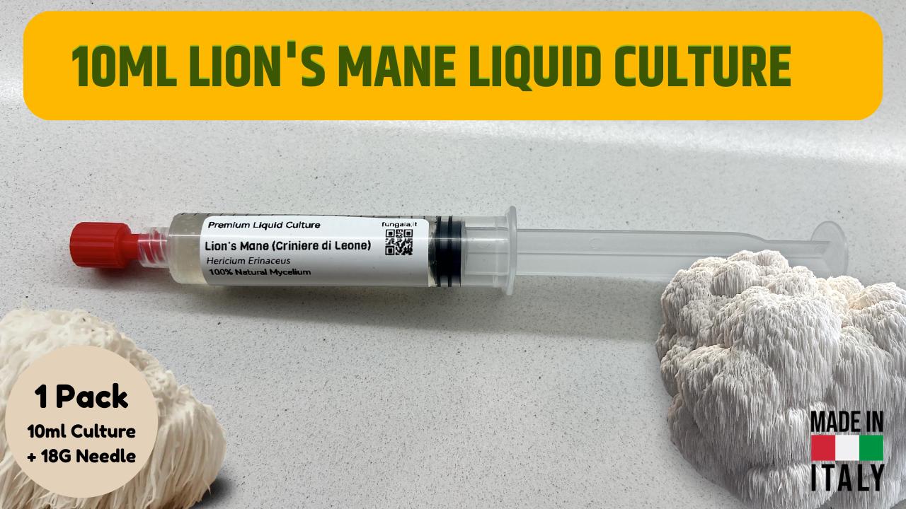 Coltura Liquida Lion's Mane Criniera di Leone 10ml Micelio Vivo Hericium Erinaceus Micologia