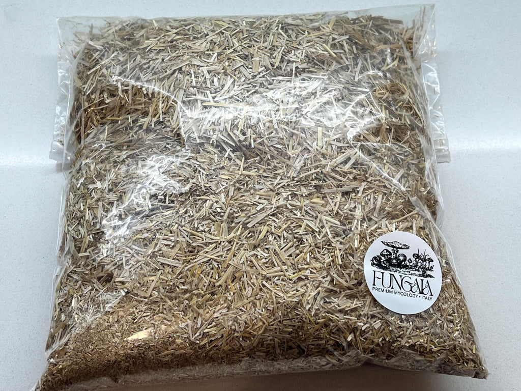 Italian Wheat Straw Mushroom Substrate - Chopped & Dedusted 500g