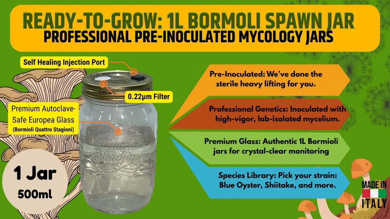 500 ml Liquid Culture Jar – Pre-Inoculated & 7-Day Tested – Pure Mycelium