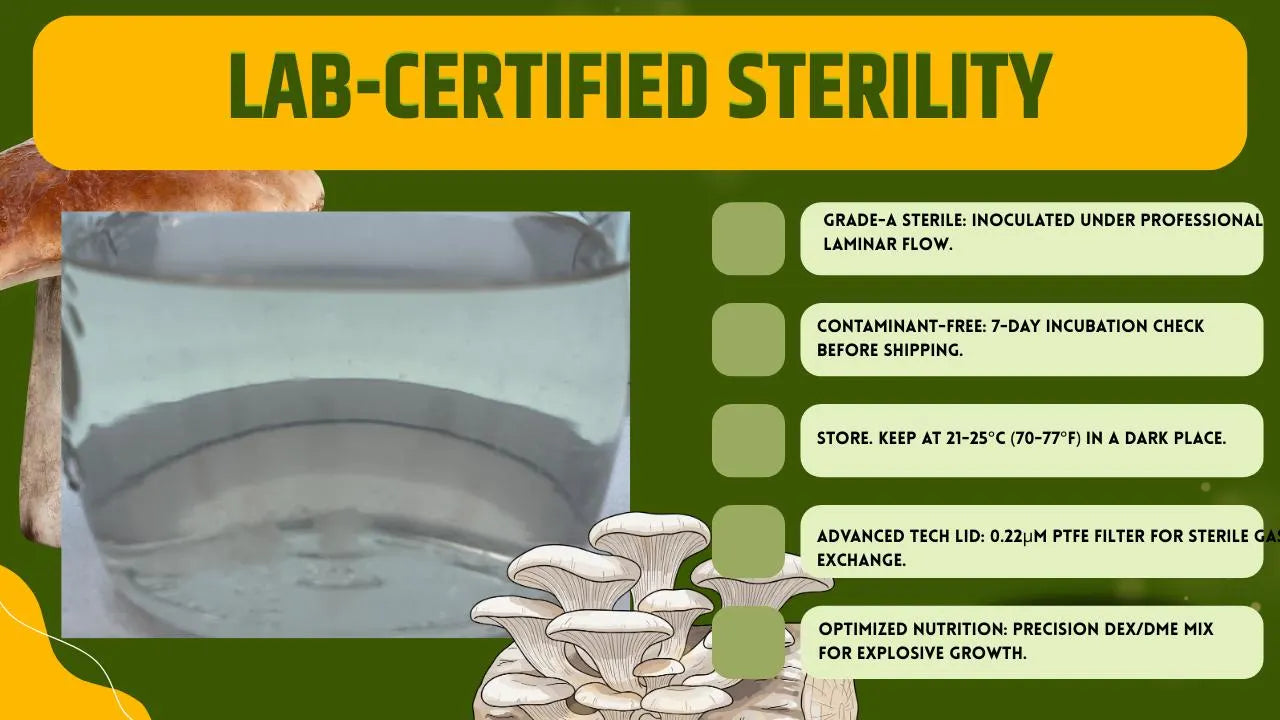 500 ml Liquid Culture Jar – Pre-Inoculated & 7-Day Tested – Pure Mycelium