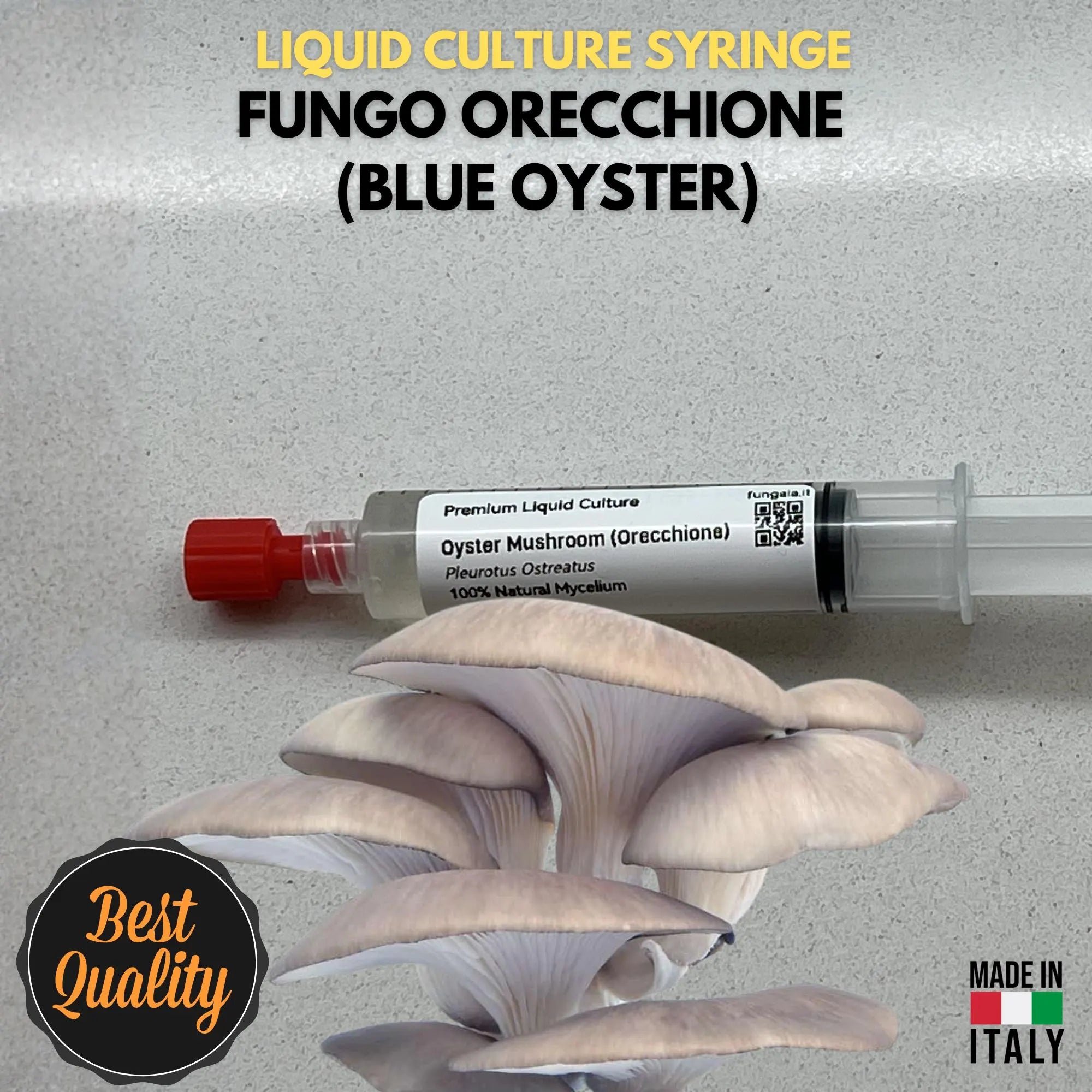 Blue Oyster Liquid Mycelium (Pleurotus ostreatus) 10 ml – Professional Master Culture