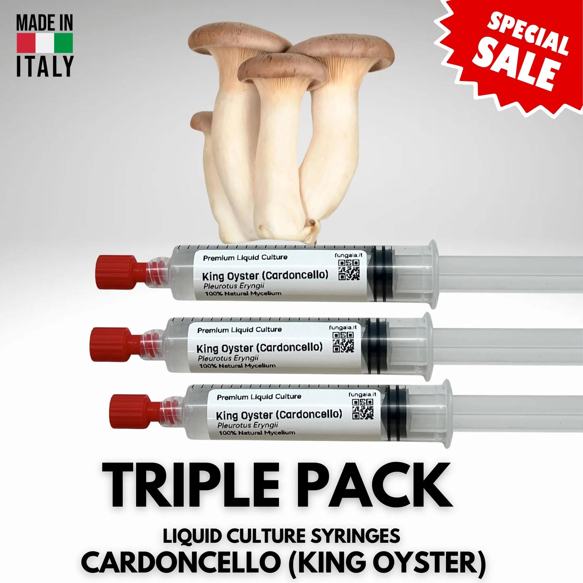 3 x 10ml Cardoncello King Trumpet Coltura Liquida Micelio Vivo Triple Pack