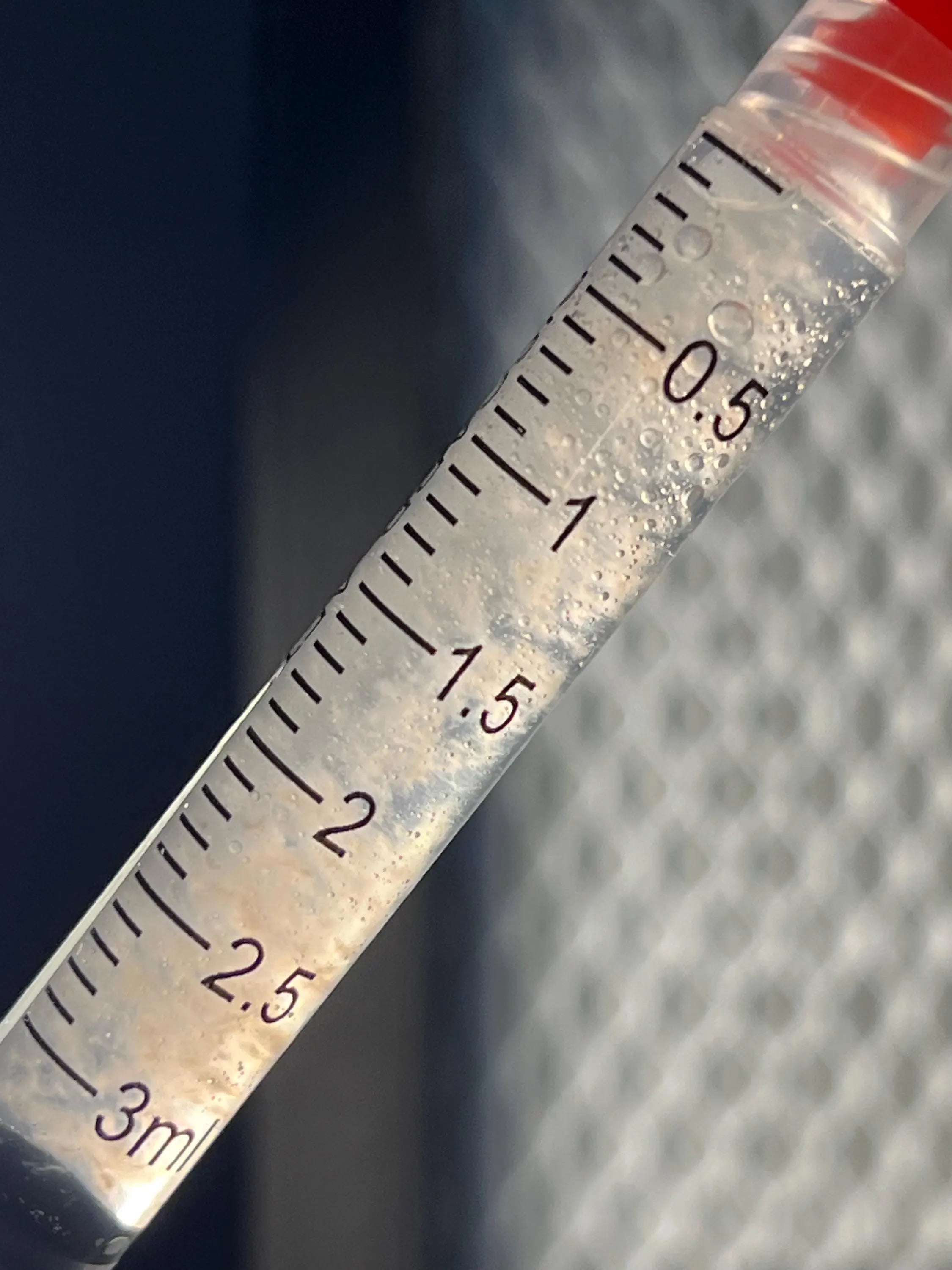 Kit Coltura Liquida Funghi Gourmet - 5 Varietà Selezionate (3ml Luer Lock) - Starter Pack Micologia Professionale