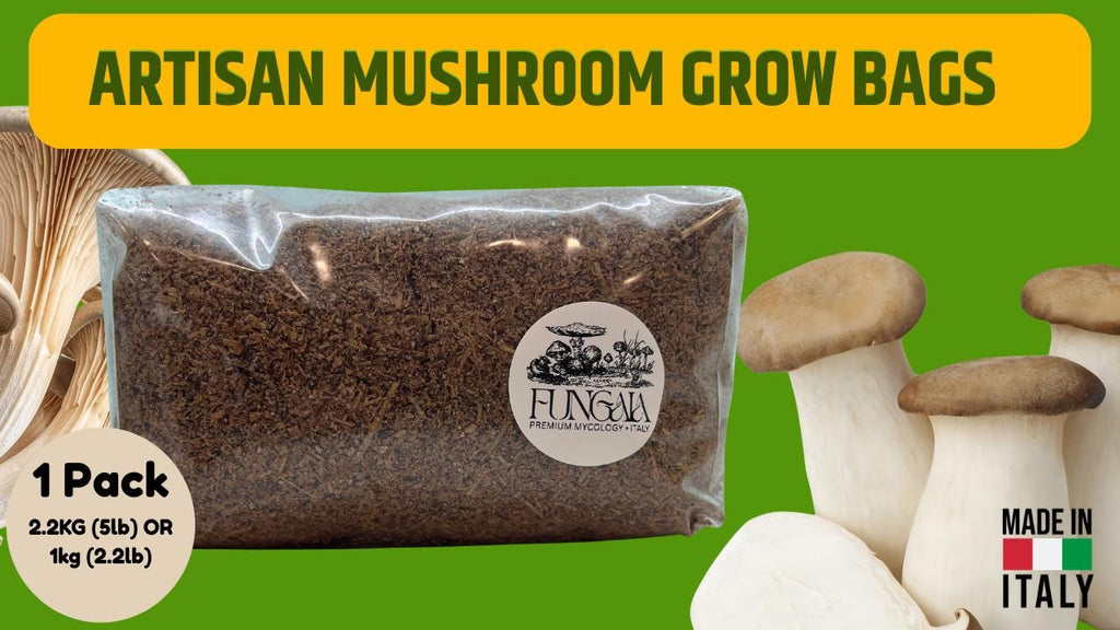 Substrato Funghi Premium 5 Sacchi | 10kg | Faggio Sterilizzato