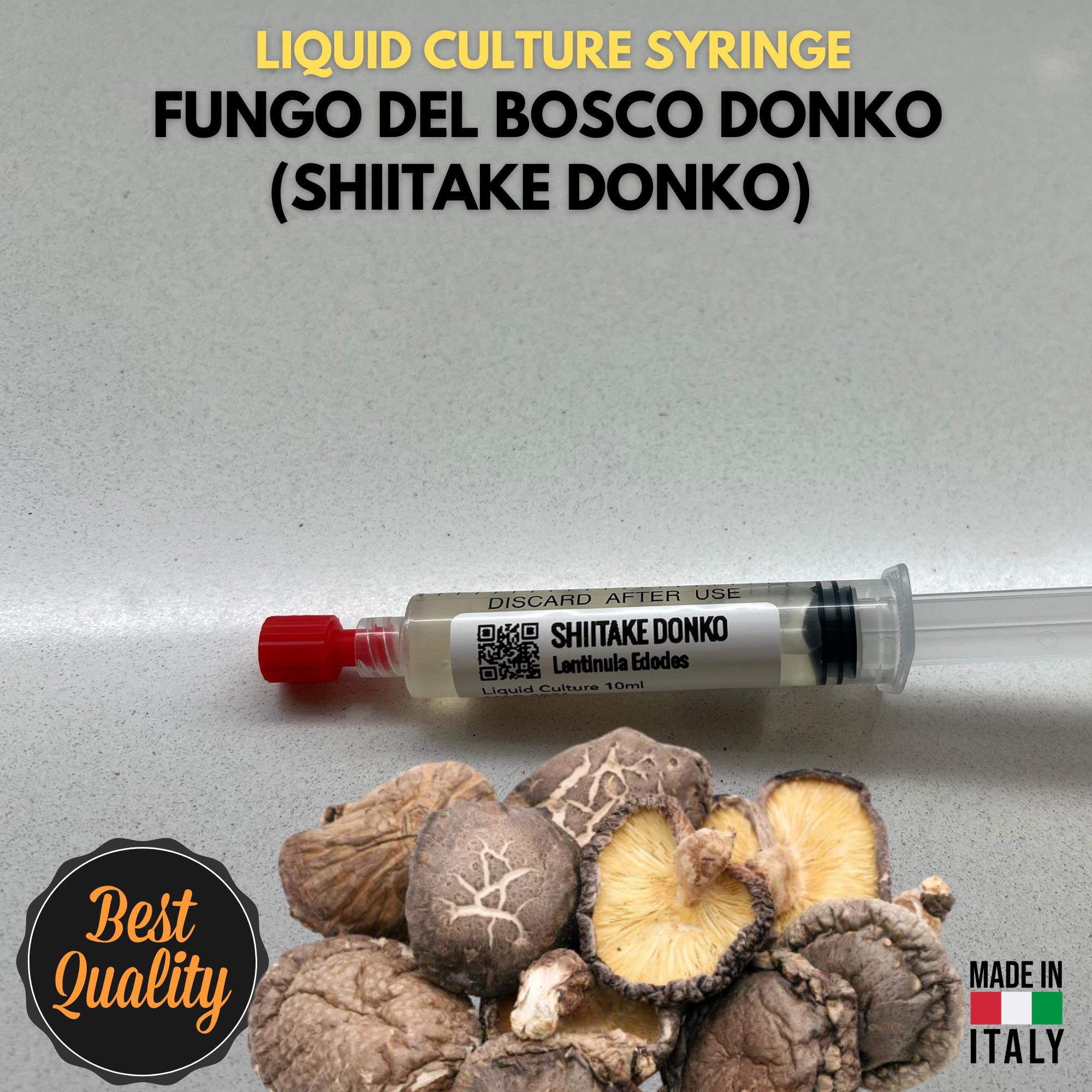 Coltura Liquida Shiitake Donko 10ml Micelio Vivo Funghi Gourmet Materiale Micologia Lentinula Edodes