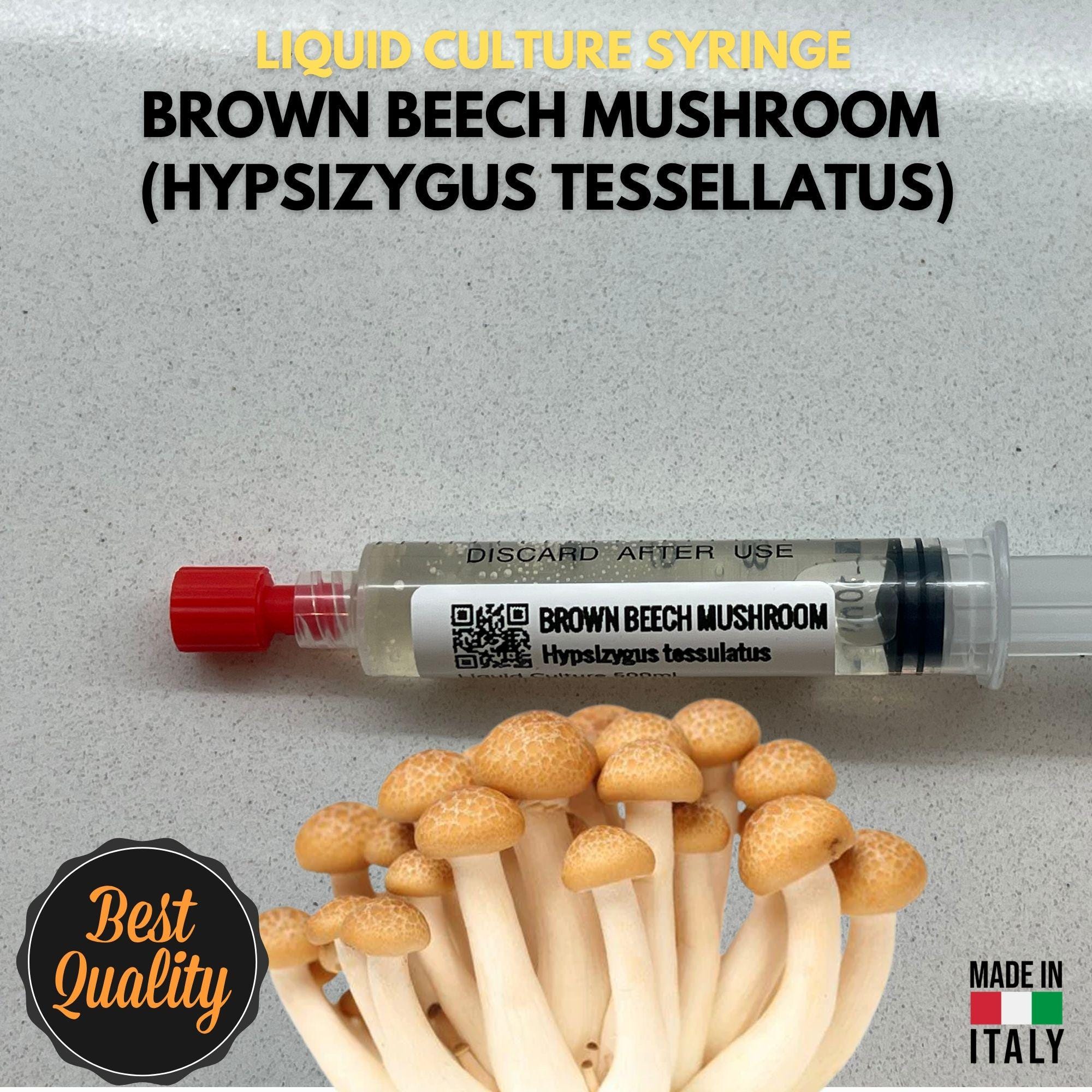 Fungo del Faggio Coltura Liquida Shimeji Micelio Vivo 10ml Hypsizygus Tessellatus Kit Coltivazione Funghi Professionale Made in Italy