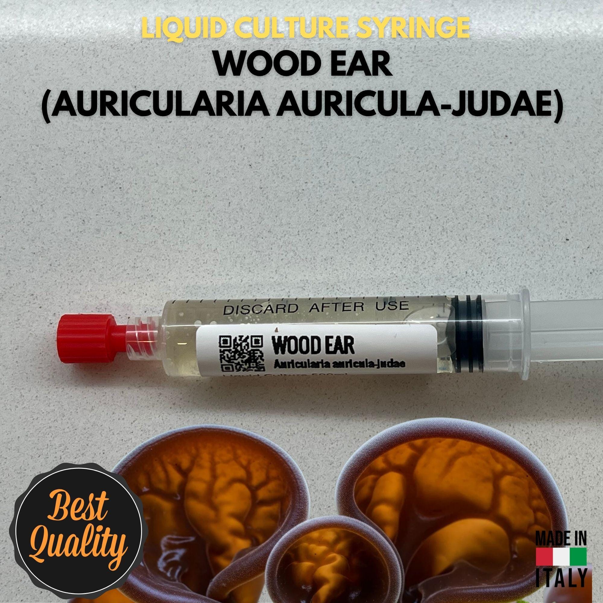 Orecchio di Giuda Coltura Liquida Auricularia Auricula-Judae Micelio Vivo 10ml Fungo dell'Orecchio Kit Coltivazione Funghi Professionale