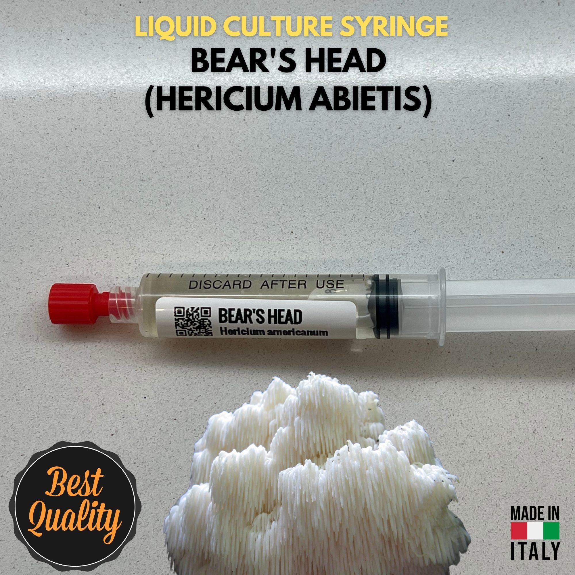 Fungo Testa di Orso Coltura Liquida Hericium Abietis Micelio Vivo 10ml Hericium Ramificato Kit Coltivazione Funghi Professionale