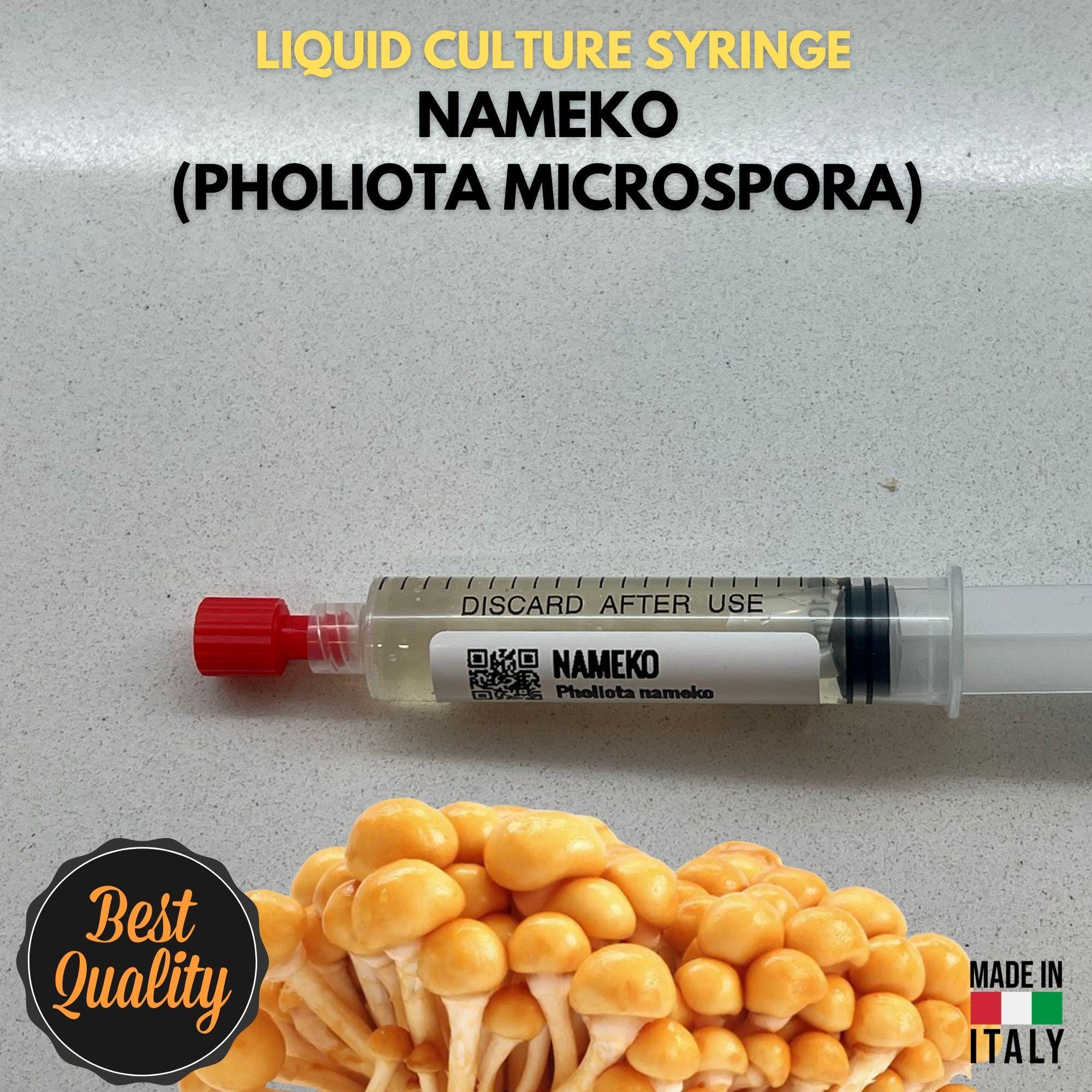 Fungo Nameko Coltura Liquida Pholiota Microspora Micelio Vivo 10ml Pholiota Nameko Kit Coltivazione Funghi Professionale Made in Italy