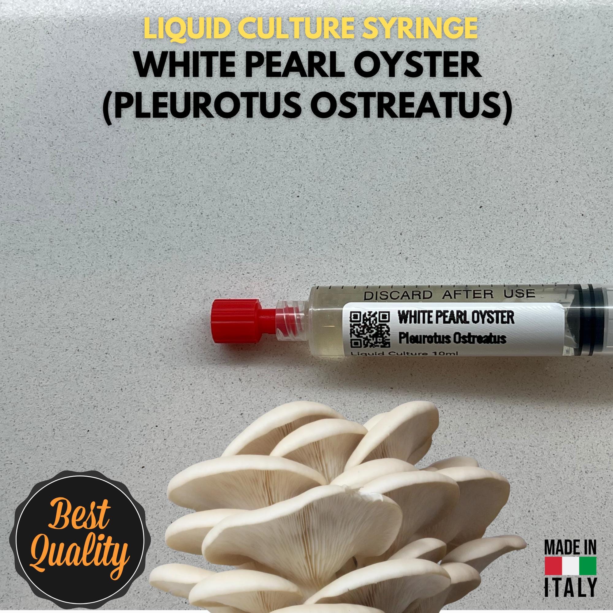 Cultura Liquida Fungo Ostrica Bianco 10ml - Pleurotus ostreatus - Micelio Professionale Gourmet - Made in Italy
