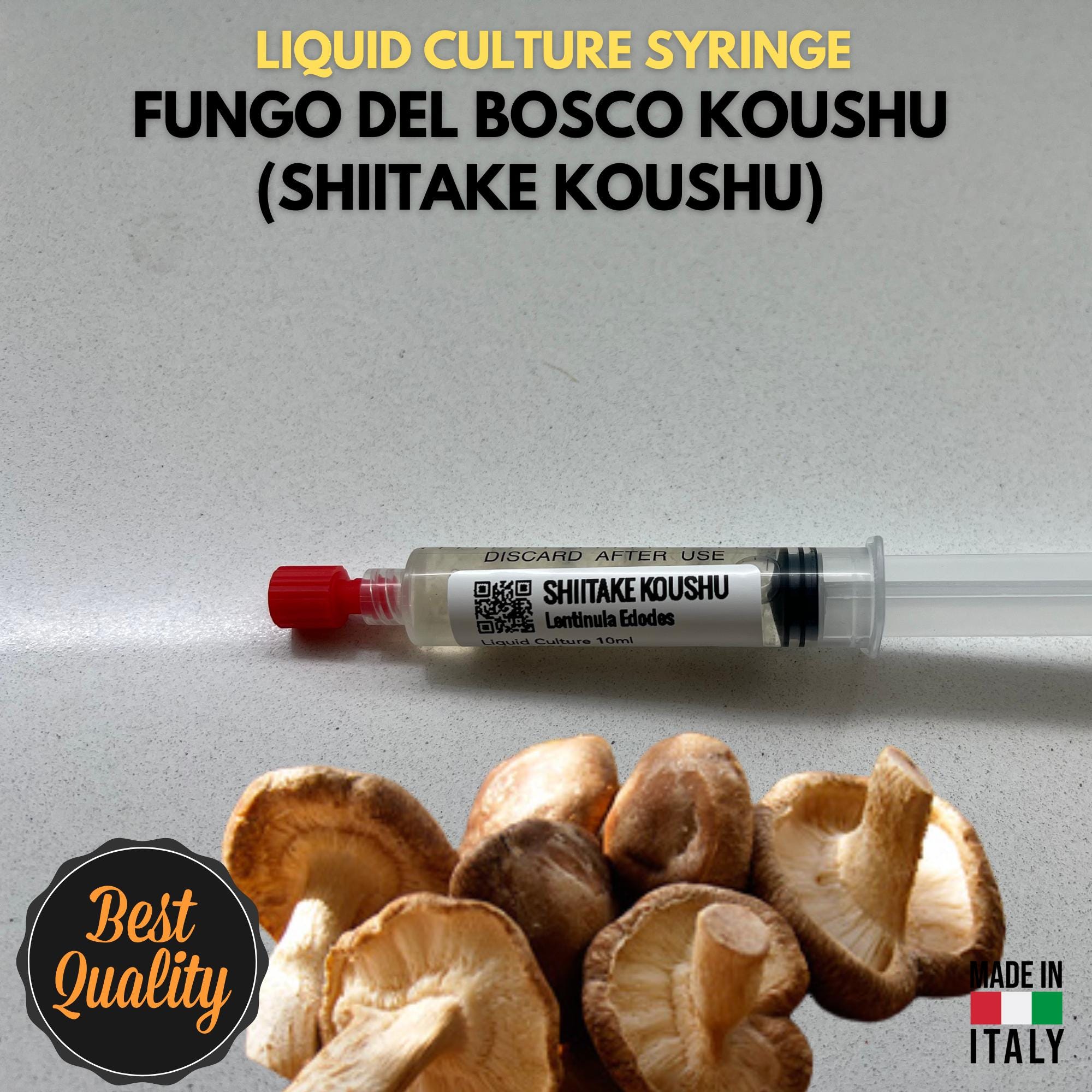 Coltura Liquida Shiitake Koushu 10ml Micelio Vivo Funghi Gourmet Materiale Micologia Lentinula Edodes
