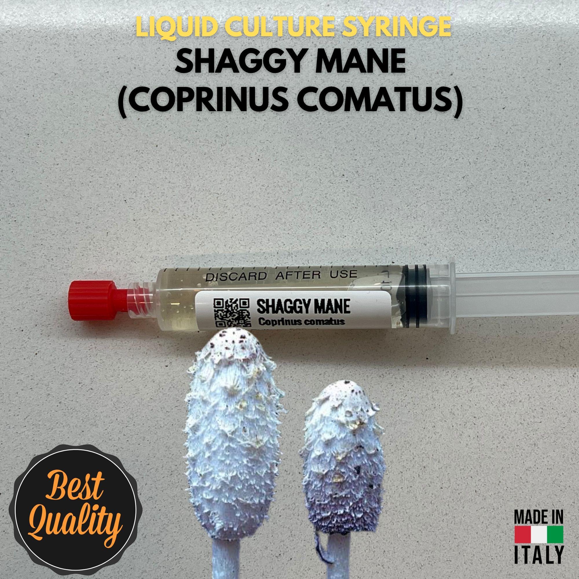 Coprino Chiomato Coltura Liquida  Micelio Vivo 10ml Coprinus Comatus Kit Coltivazione Funghi Made in Italy