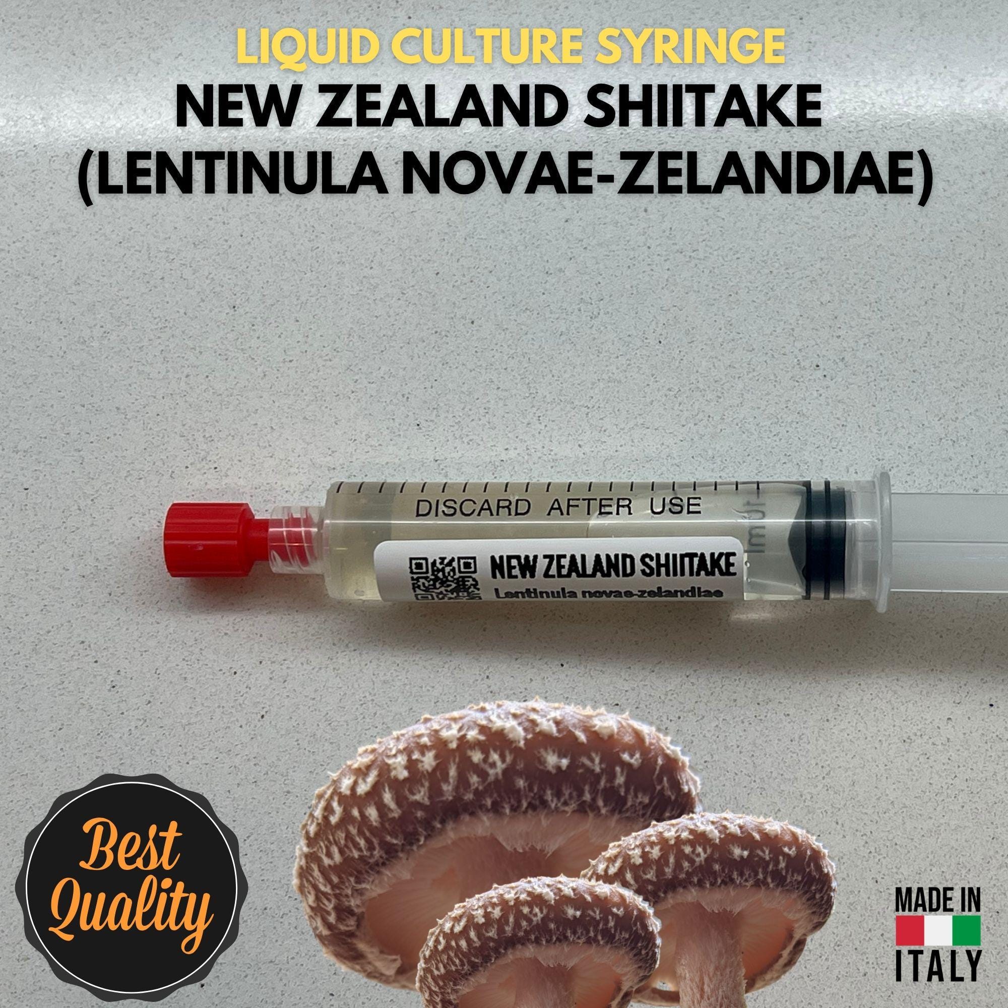 Shiitake della Nuova Zelanda Coltura Liquida Lentinula Novaezelandiae Micelio Vivo 10ml Shiitake Esotico Kit Coltivazione Funghi