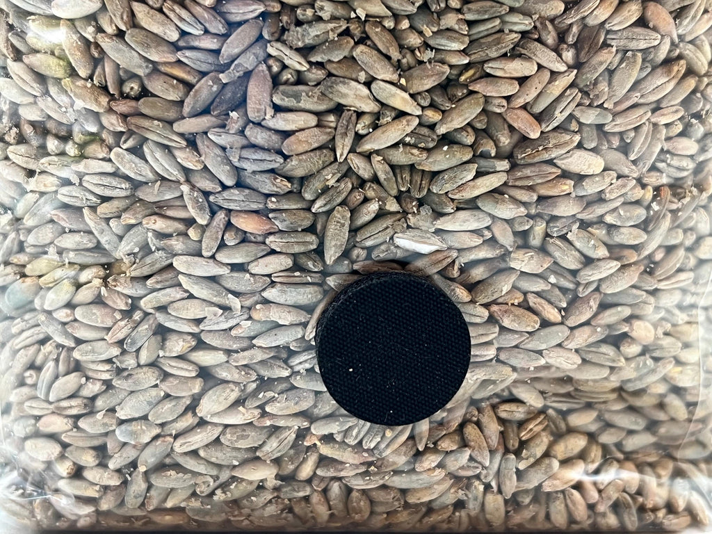 Biologic Grain Spawn Organic Sterilized — 1 kg / 2 kg