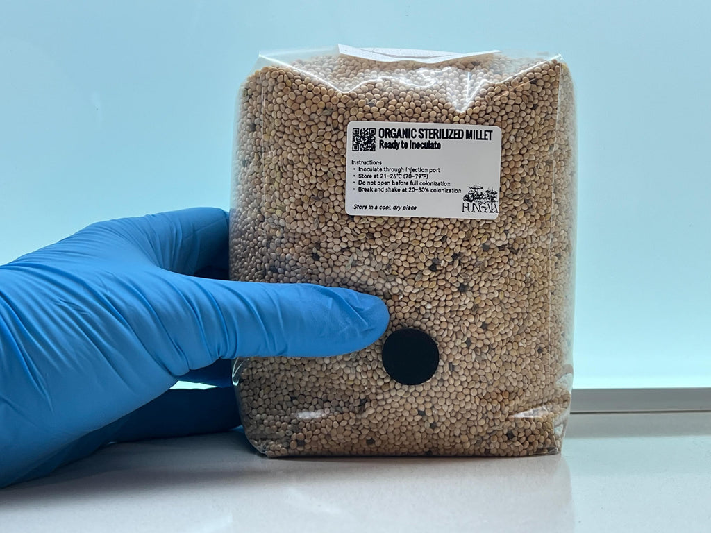 Miglio Bio Sterilizzato 1kg/2kg • Porta Iniezione SHIP • Substrato Funghi
