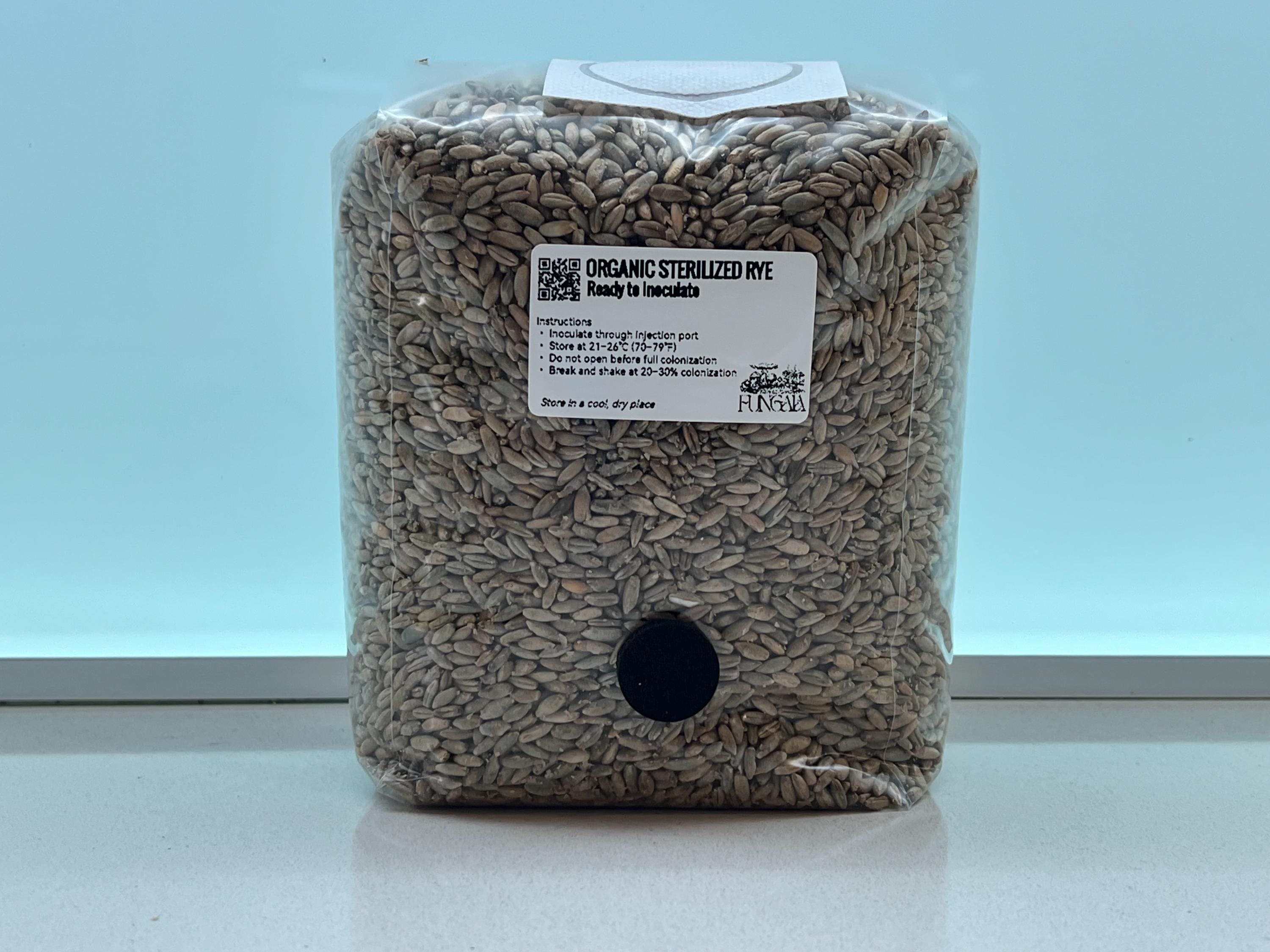 Segale Bio 1kg/2kg Sterilizzata Autoclave • Spawn Funghi Pleurotus Shiitake