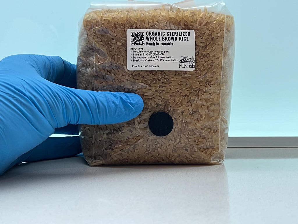 Riso Integrale Bio 1kg/2kg Spawn Autoclave • Porta SHIP • Substrato Funghi
