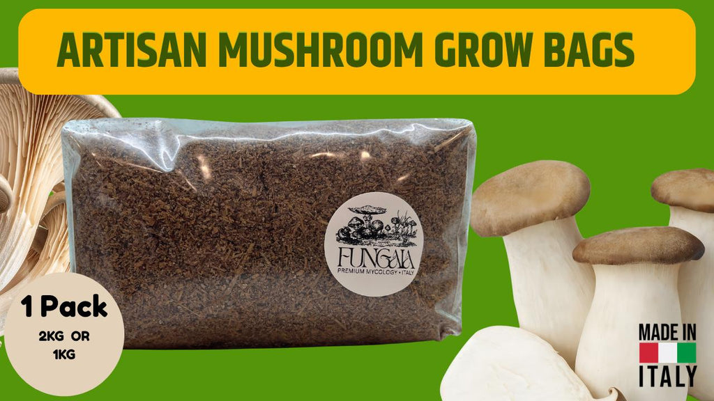 Substrato Funghi Sterilizzato Faggio 2kg | Pronto Inoculazione