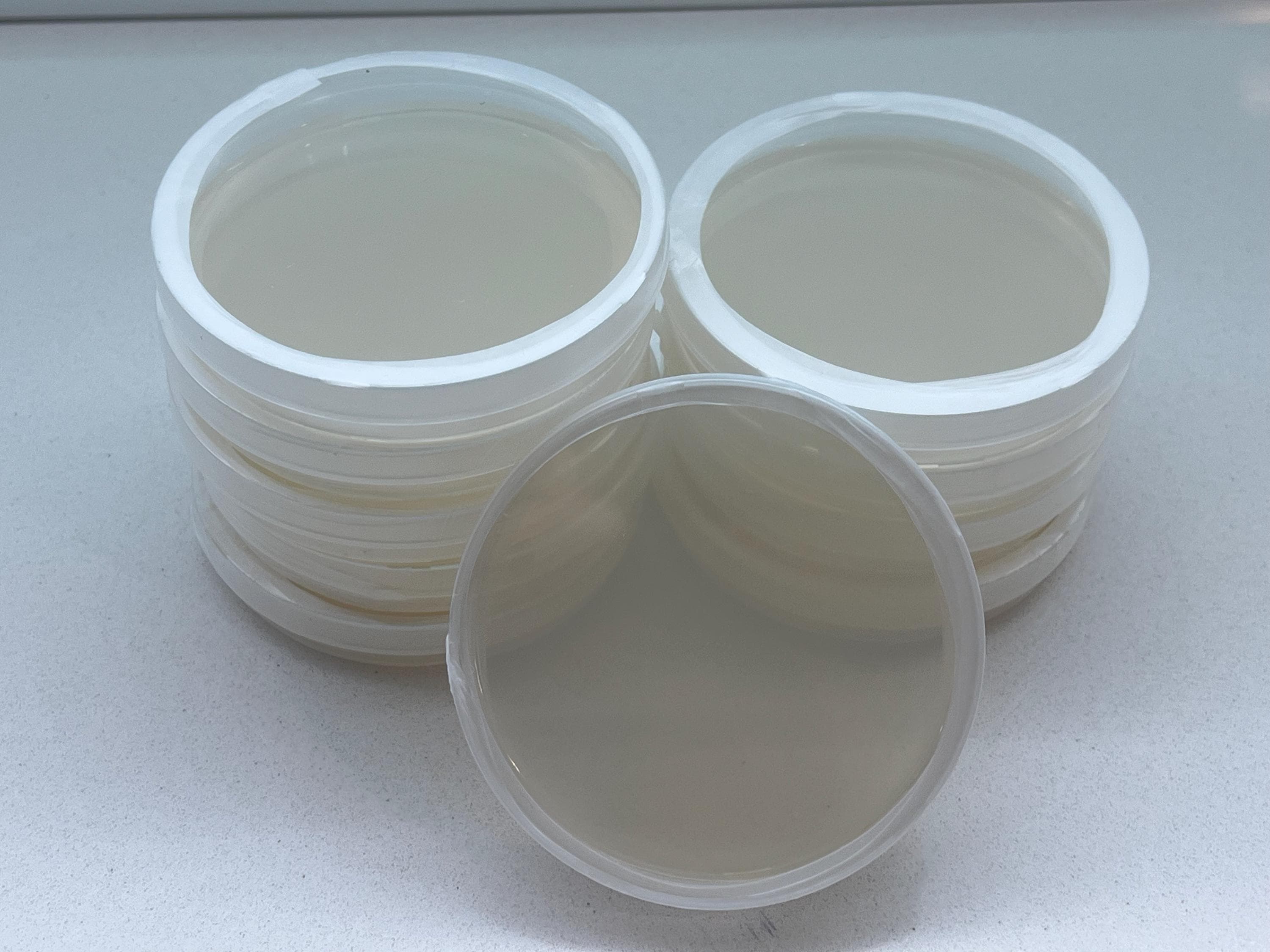 Piastre Petri Agar MYA Mix Pre-Versate + Parafilm – Sterili
