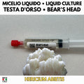 Bear's Head Liquid Culture Hericium Abietis Live Mycelium Syringe 10ml Winter Lion's Mane Mushroom Culture Lab Grade Mycology Supplies
