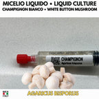 Coltura Liquida Champignon 10ml Agaricus Bisporus Fungo Prataiolo