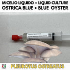Micelio Liquido Pleurotus Ostreatus Blue Oyster 10ml Lab Italia