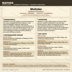 Maitake Micelio Vivo 10ml Coltura Liquida Grado Laboratorio Grifola Frondosa Inoculo Professionale Genetica Selezionata