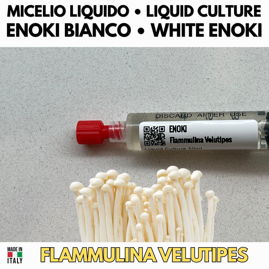 Enoki Liquid Culture Unit (10ml) - Flammulina velutipes - Premium Gourmet Mushroom Mycelium - Made in Italy