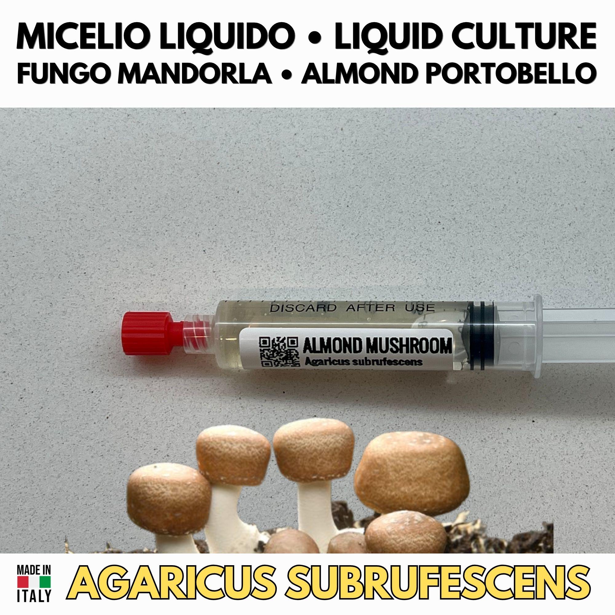 Fungo Mandorlato Coltura Liquida Agaricus Subrufescens 10ml