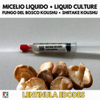 Shiitake Koushu Liquid Culture 10ml Lentinula Edodes Sterile Mycelium Gourmet Mushroom Spawn