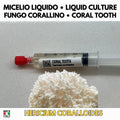 Coral Tooth Liquid Culture Hericium Coralloides Live Mycelium Syringe 10ml Comb Tooth Mushroom Culture Lab Grade Mycology Supplies