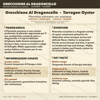 Tarragon Oyster 10ml Liquid Culture Live Mycelium Lab Grade Pleurotus Professional Inoculum Selected Genetics