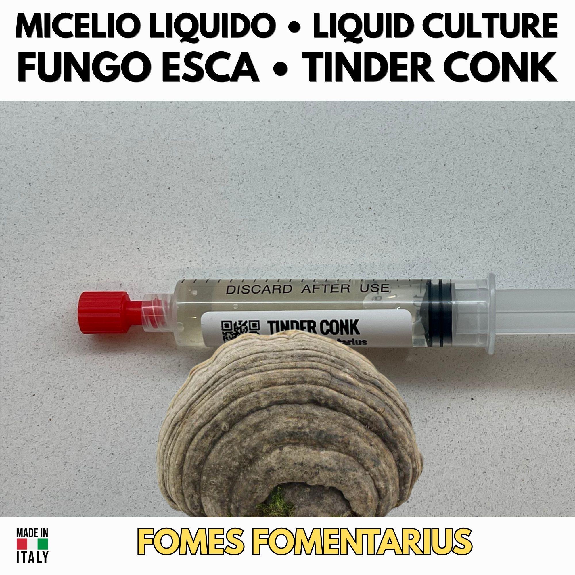 Fomes Fomentarius Coltura Liquida 10ml Micelio Vivo Fungo Esca