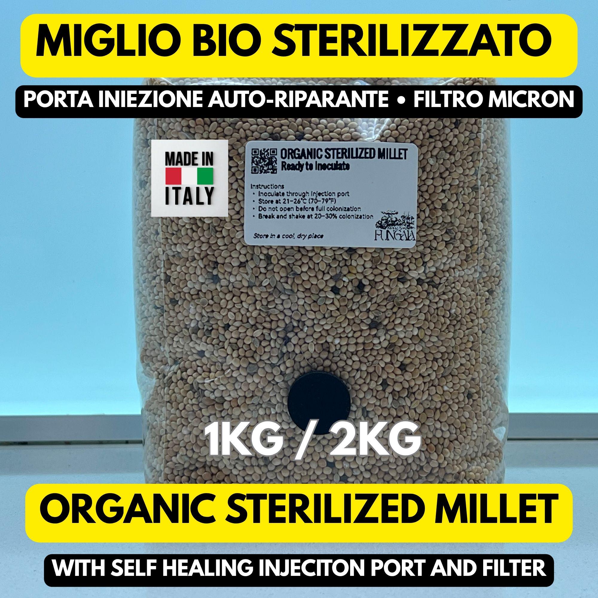 Miglio Bio Sterilizzato 1kg/2kg • Porta Iniezione SHIP • Substrato Funghi